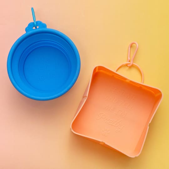 4.75" Orange Portable Pet Food Bowl